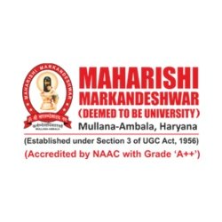 ⁠Maharishi Markandeshwar University