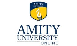 Amity online